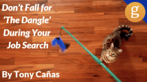 Don't Fall for The Dangle During Your Job Search Don't Fall for The Dangle During Your Job Search